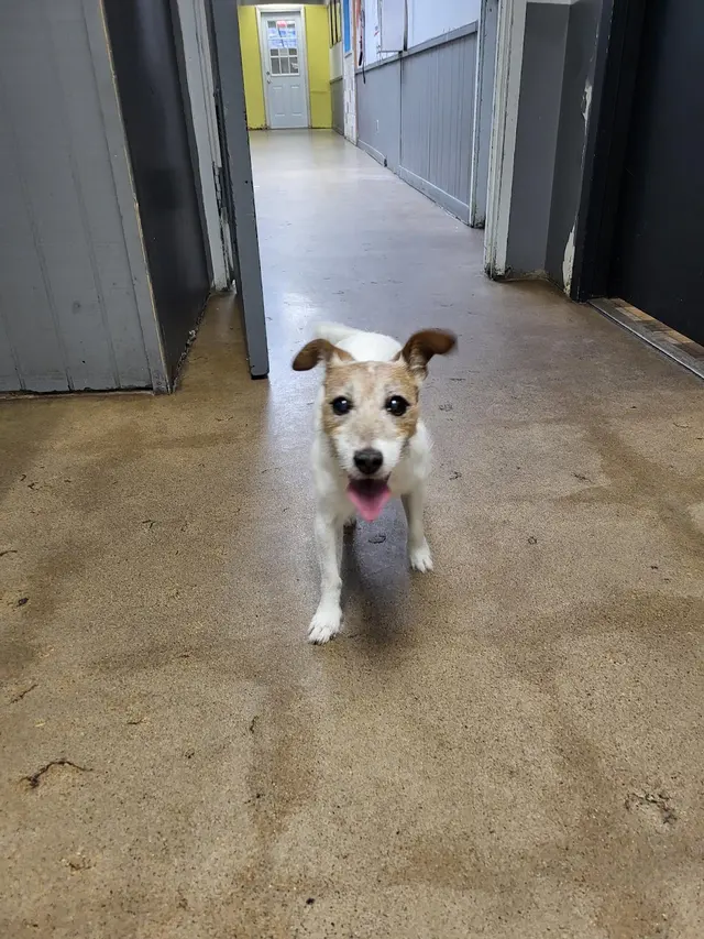 Learning Paws 24/7 — customer photo 4