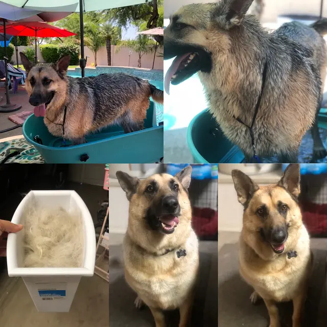 FurBabies & Friends — photo from the business 7