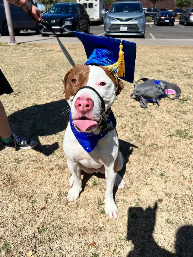 FurBabies & Friends — customer photo 6