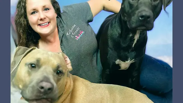 FurBabies & Friends — photo from the business 1