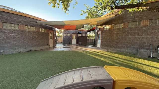 Pet Play House Phoenix — photo from the business 2
