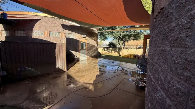 Pet Play House Phoenix — photo from the business 10