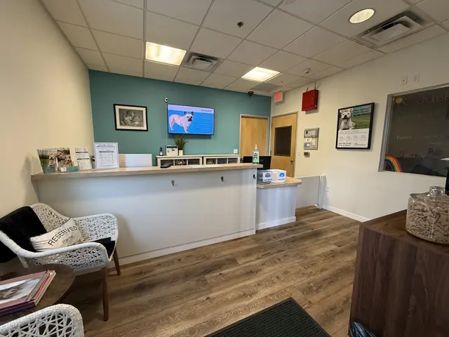 Pet Play House Phoenix — photo from the business 3