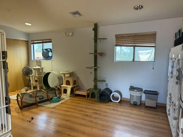 Pet Play House Phoenix — photo from the business 6