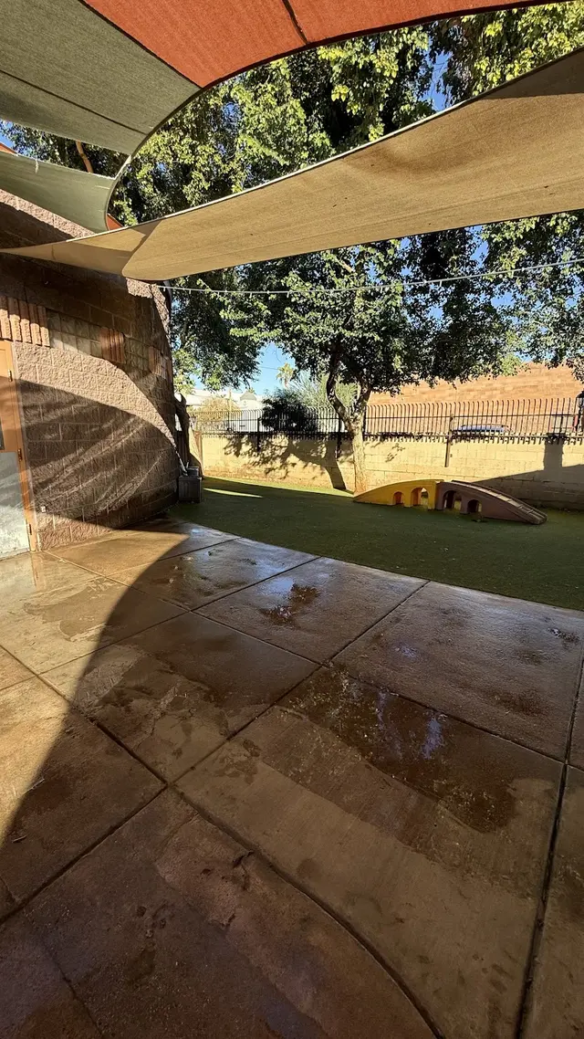 Pet Play House Phoenix — photo from the business 9