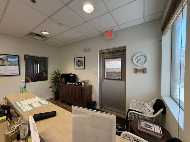 Pet Play House Phoenix — photo from the business 12