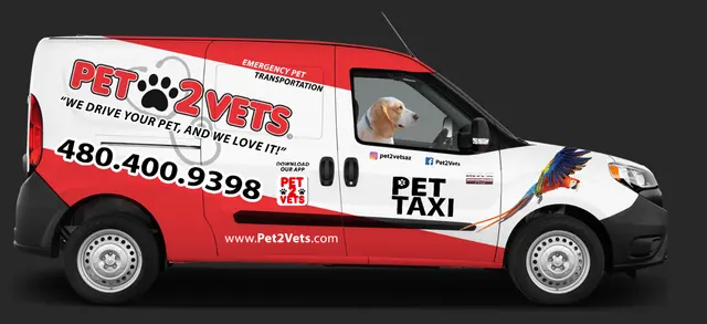 Pet2Vets - Pet Taxi, Pet Boarding, Doggie Day Care and Grooming — photo from the business 1