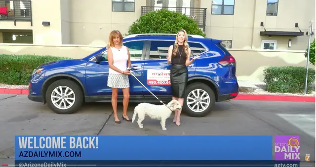 Pet2Vets - Pet Taxi, Pet Boarding, Doggie Day Care and Grooming — photo from the business 11