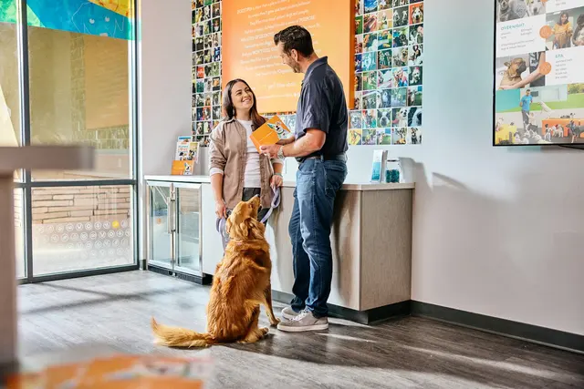 Dogtopia of Uptown Phoenix — photo from the business 6