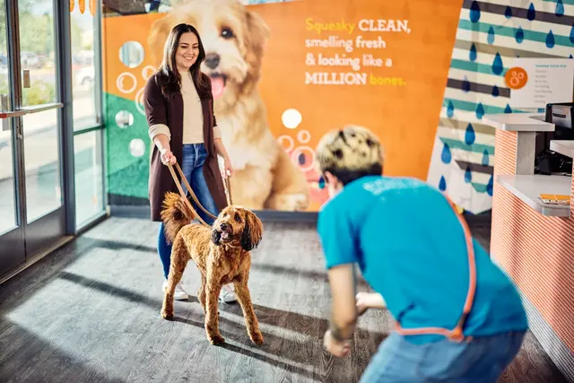 Dogtopia of Uptown Phoenix — photo from the business 12
