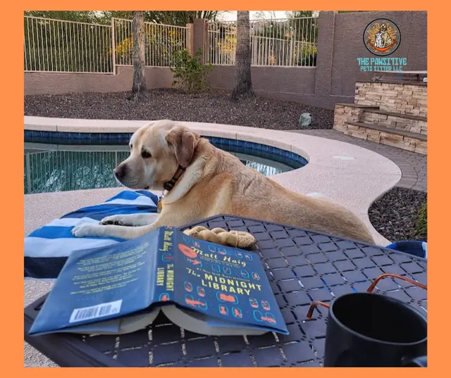 Yesspet Pet Care — photo from the business 12