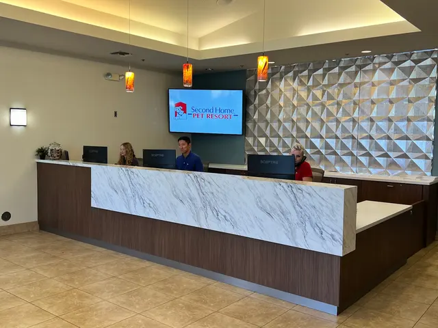 Second Home Pet Resort — photo from the business 12