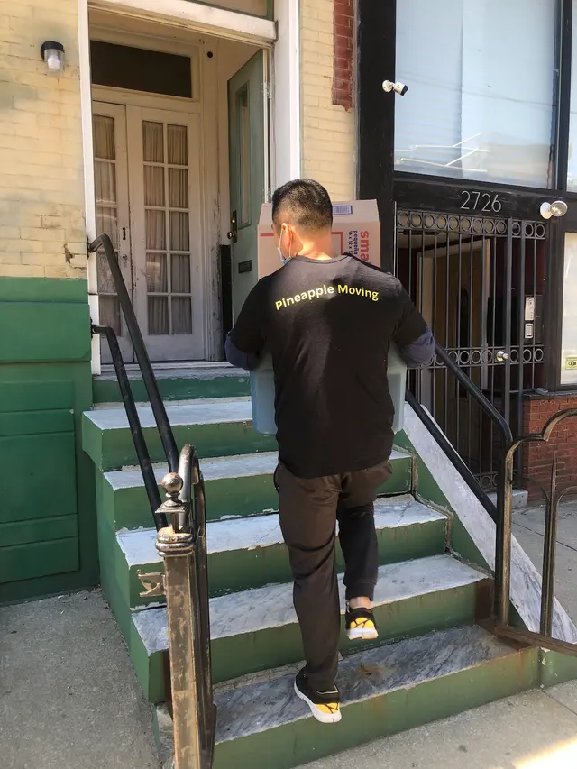 Pineapple Movers — photo from the business 1