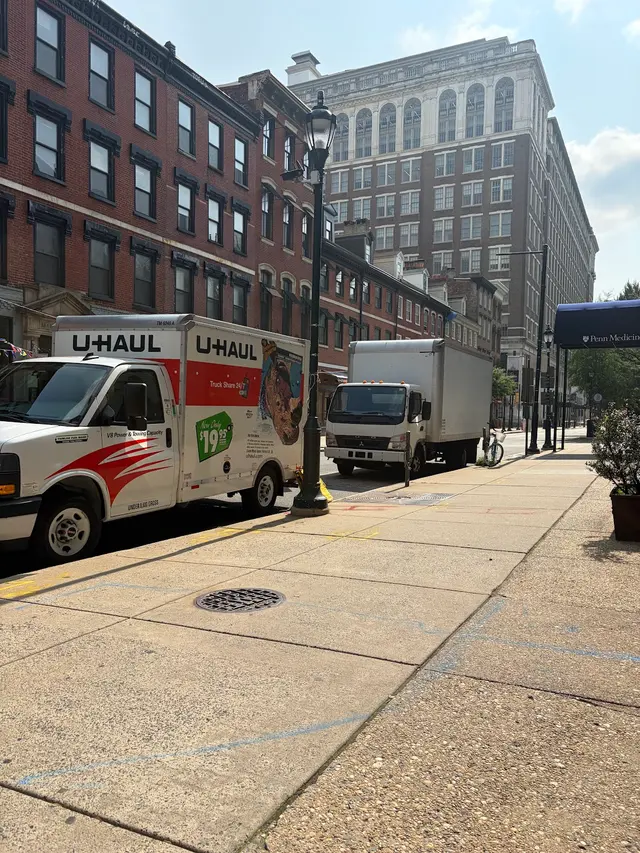 Pineapple Movers — customer photo 9