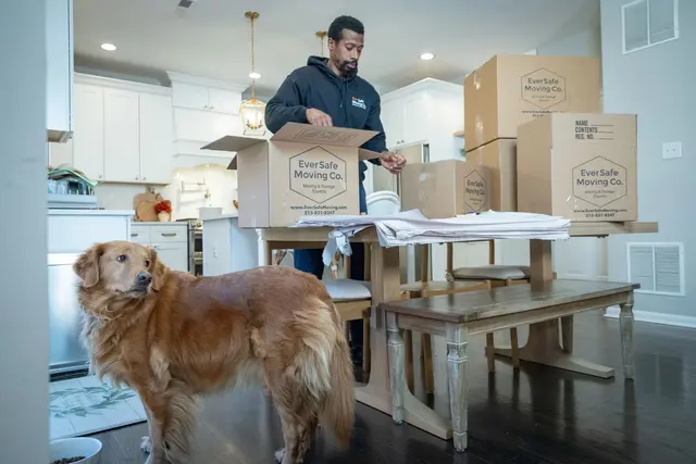 EverSafe Moving Co. — photo from the business 4