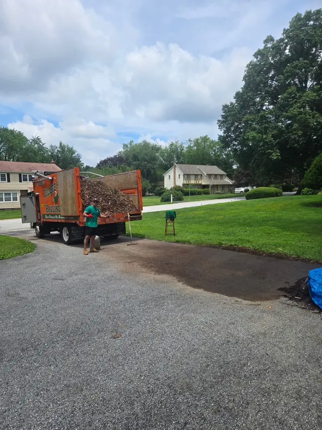 College Hunks Hauling Junk and Moving Philadelphia — photo from the business 11