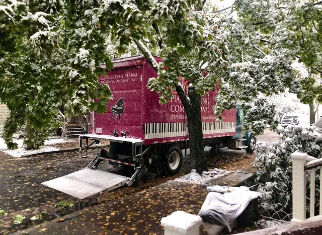 Gentle Giant Moving Company — photo from the business 12