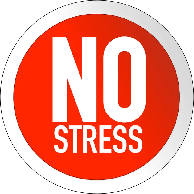 No Stress Movers — photo from the business 3