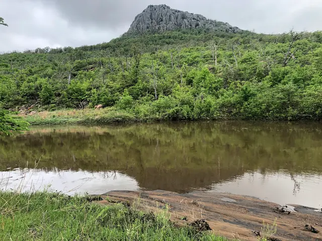 Camp Y'Shua — customer photo 12