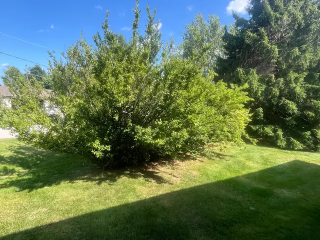Wade’s Property Services, LLC — customer photo 11