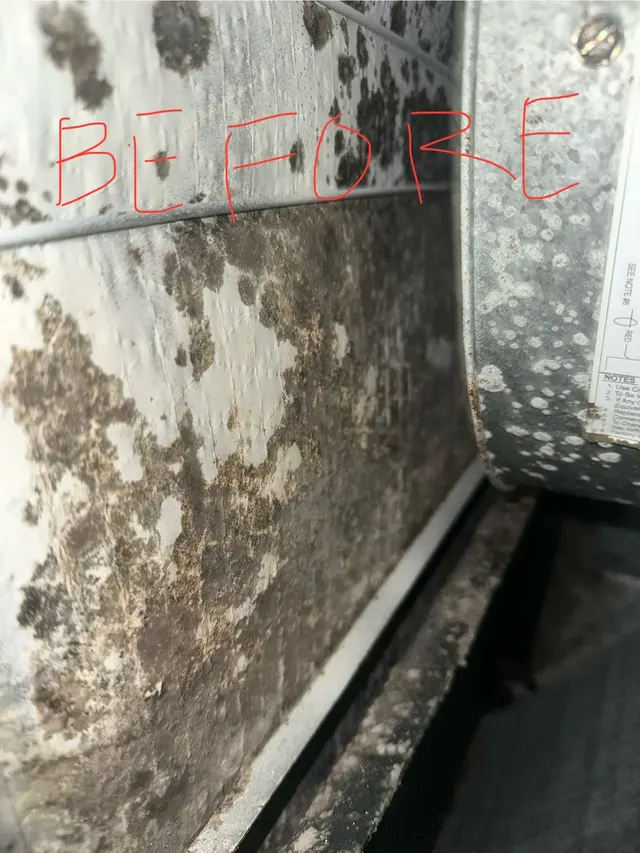 Customer photo from Grex's review