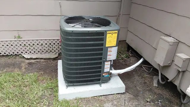 Customer photo from Jay's review