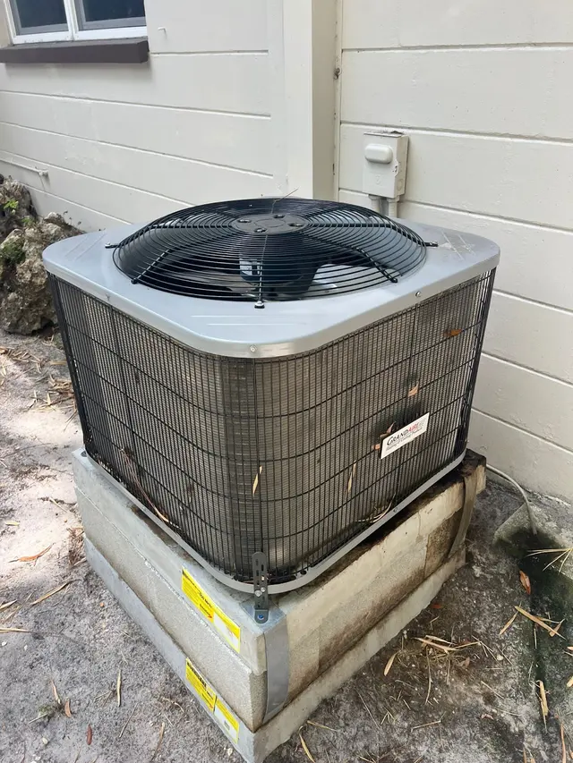 Customer photo from Walter's review