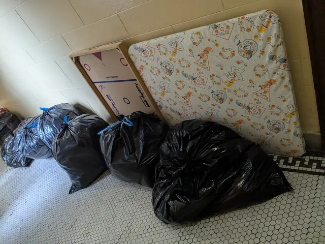 Haul Flow Junk Removal — customer photo 8