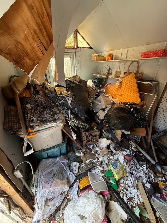 Junk Soup LLC — customer photo 2