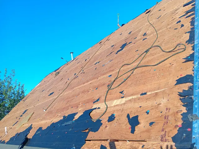 Network Roofing & Construction — photo from the business 11