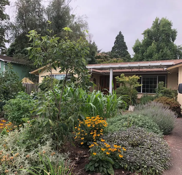 Align Renew Thrive Physical Therapy — photo from the business 4