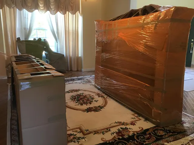 Vector Movers NJ — photo from the business 8