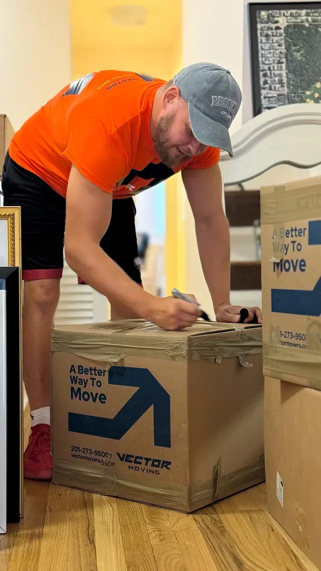 Vector Movers NJ — photo from the business 2