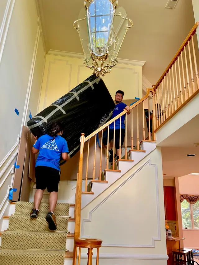 Alpha Moving & Storage — photo from the business 4