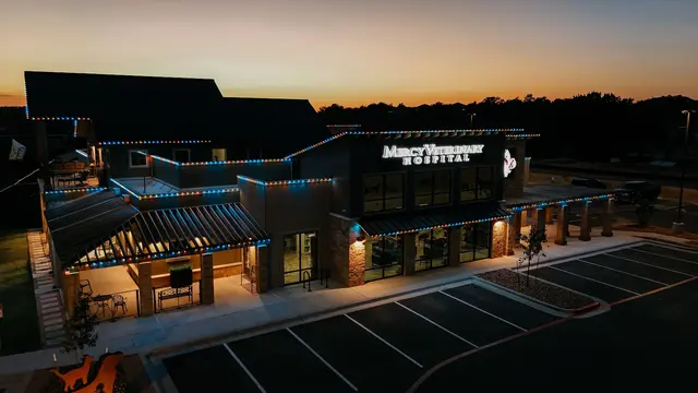 Outdoor Lighting Perspectives of Flower Mound — photo from the business 11