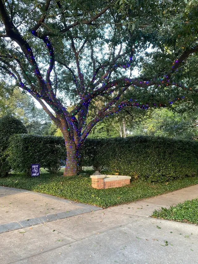 Illumigreat Christmas Light Installers — photo from the business 2