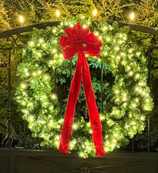 Christmas Lighting DFW — photo from the business 7