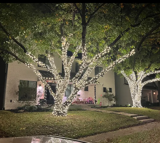 Christmas Lighting DFW — photo from the business 8