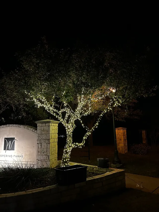 Christmas Lighting DFW — photo from the business 10