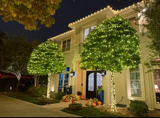 Christmas Lighting DFW — photo from the business 2
