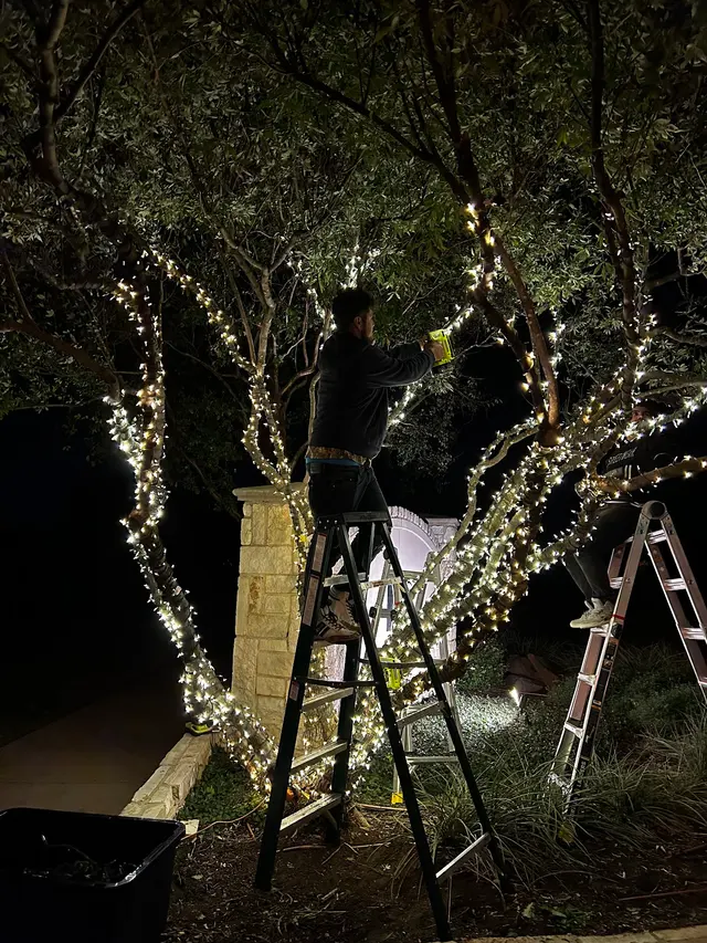 Christmas Lighting DFW — photo from the business 3