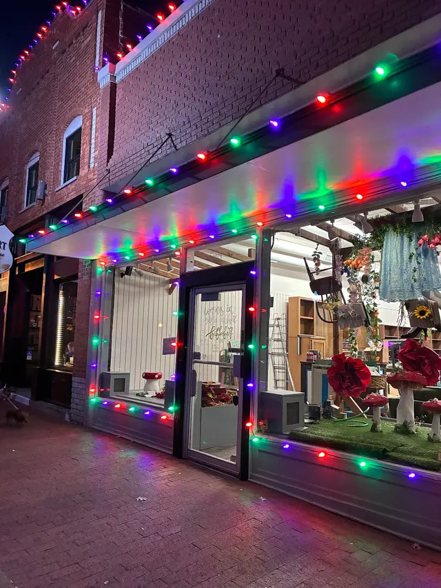 Customer photo of work by Rooftop Holiday Lighting, from Michelle Hawkins's review