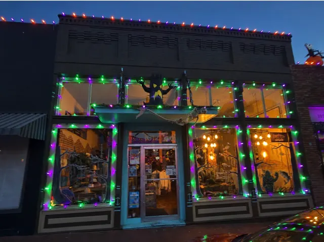 Rooftop Holiday Lighting — photo from the business 3