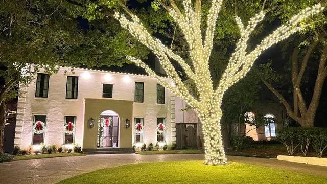 The Christmas Lights Experts — photo from the business 1