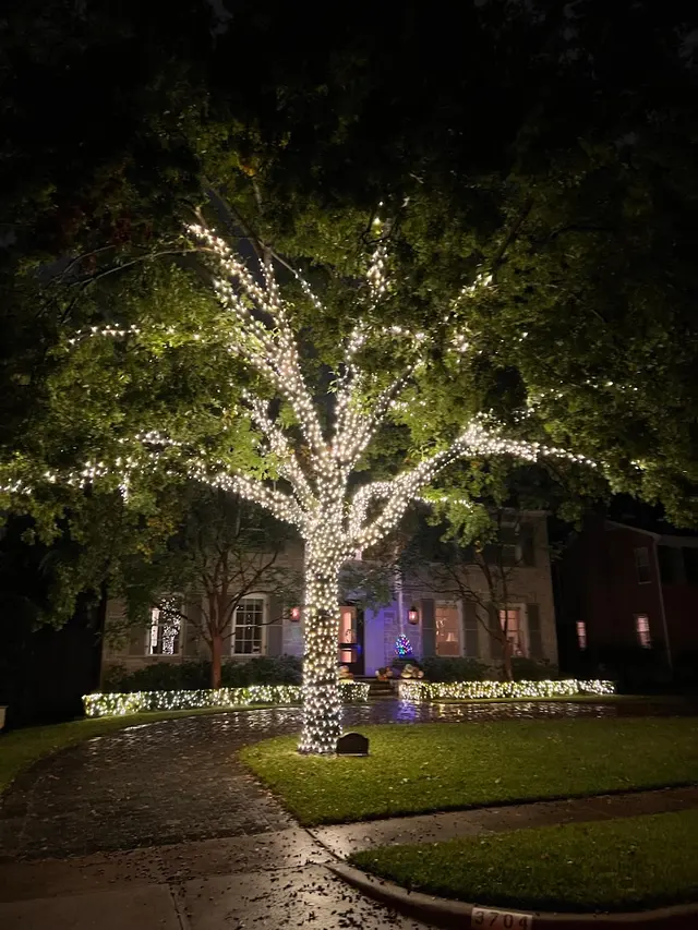 The Christmas Lights Experts — photo from the business 7