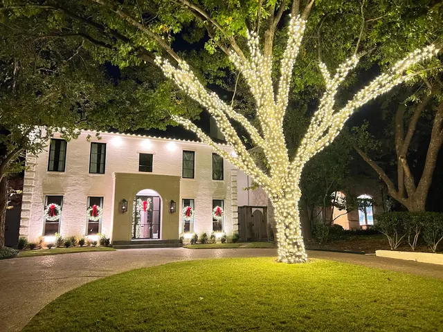 The Christmas Lights Experts — photo from the business 4