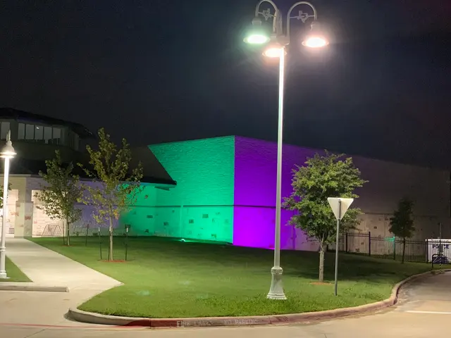 Christmas Light Installer — photo from the business 10