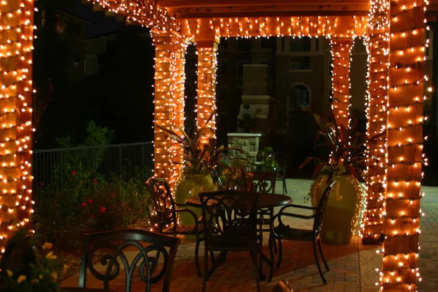 Christmas Light Installer — photo from the business 9