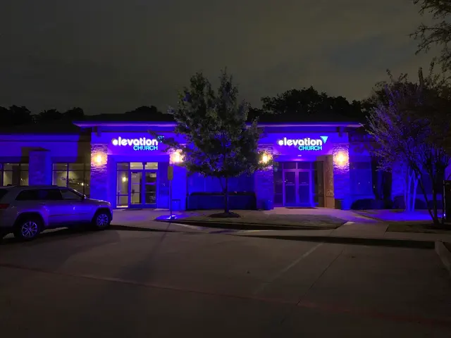 Christmas Light Installer — photo from the business 12