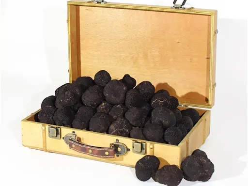 Truffle Shuffle — photo from the business 12